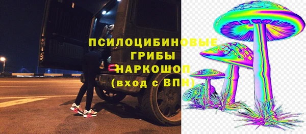 мяу мяу мука Армянск