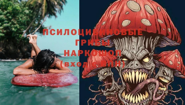 дурь Аркадак