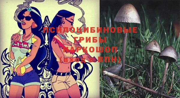 мяу мяу мука Армянск