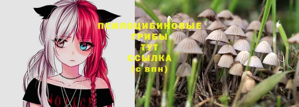 дурь Аркадак